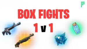 PANDVIL Box Fights 1v1