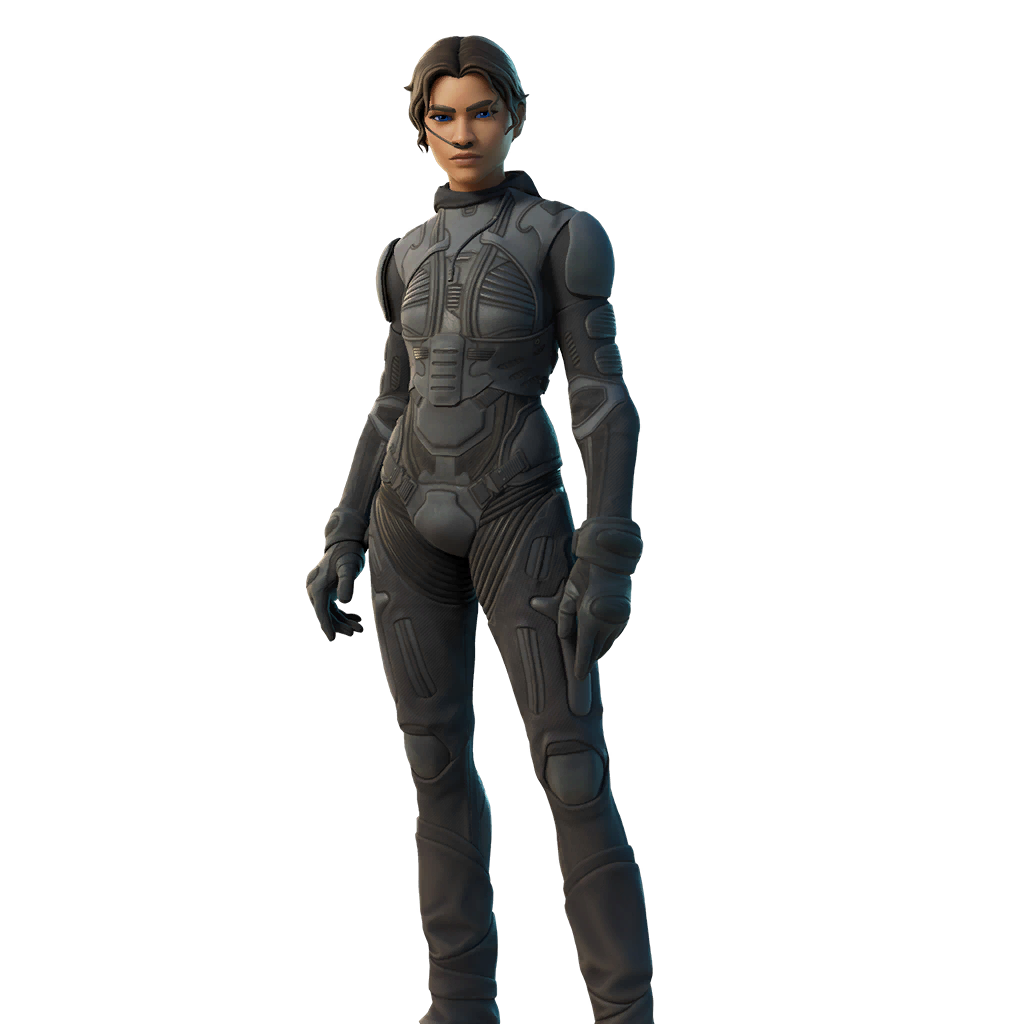 chani_fortnite_skin_how_many_fortnite_skins_are_there